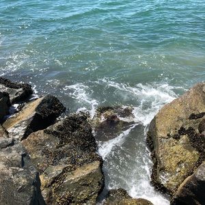 Meet your Posher, Sammi